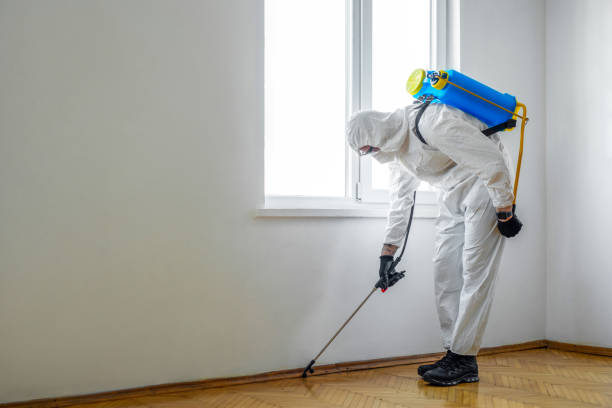 Best Wasp Removal Services  in Reynoldsburg, OH