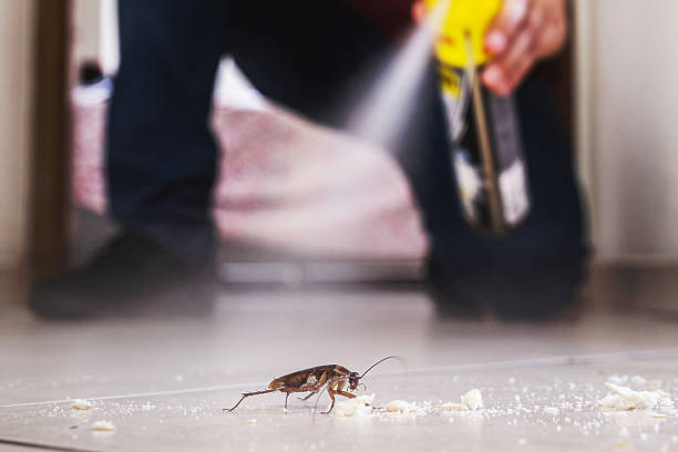 Best Best Pest Control Companies  in Reynoldsburg, OH