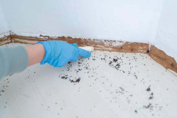 Best Pest Prevention Services  in Reynoldsburg, OH